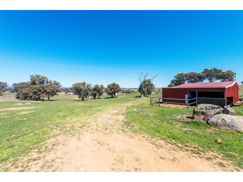 603 Henry Lawson Way, Young NSW 2594