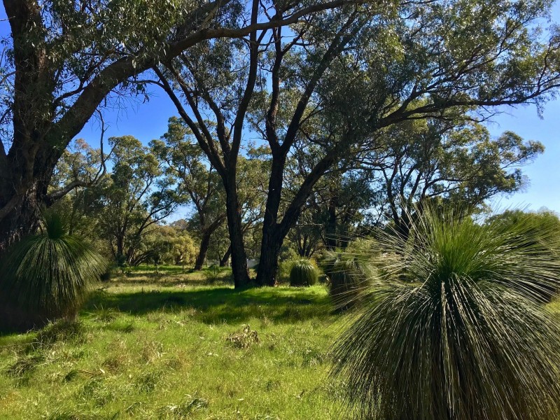 111 Countryside Drive, Two Rocks WA 6037