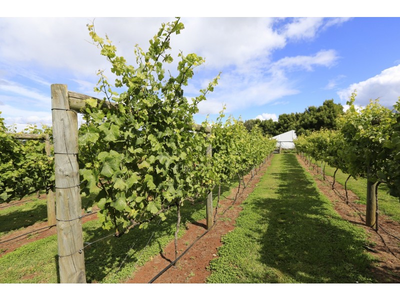 1 Pokes Road, Boat Harbour TAS 7321