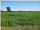 Lot 4202 Myalup Road, Harvey WA 6220