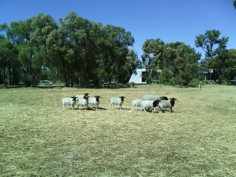 Lot 4202 Myalup Road, Harvey WA 6220