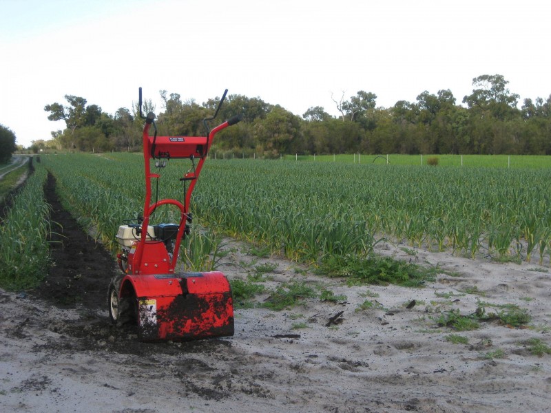 Lot 4202 Myalup Road, Harvey WA 6220