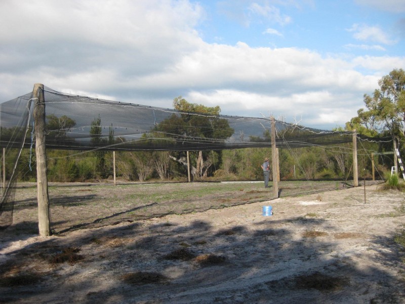 Lot 4202 Myalup Road, Harvey WA 6220