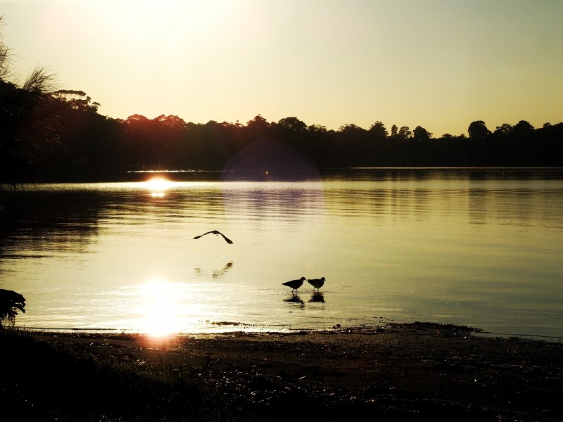 14 Island Point Road, St Georges Basin NSW 2540