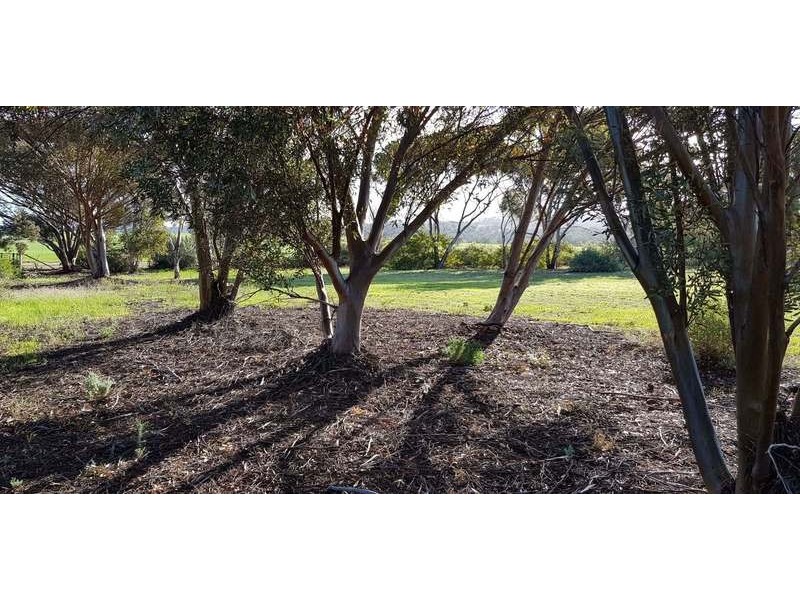 24 Gunyah Road, Wilmington SA 5485