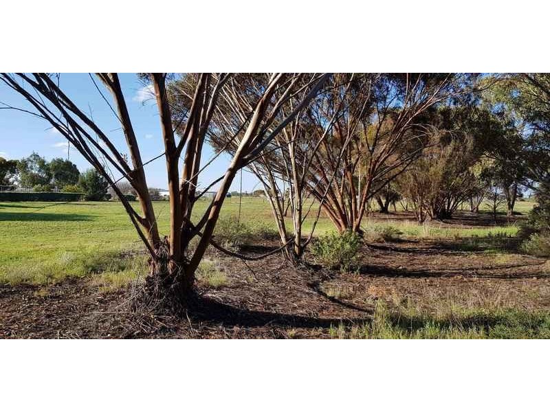 24 Gunyah Road, Wilmington SA 5485