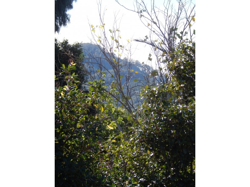 52 Tannery Road, Cambewarra NSW 2540