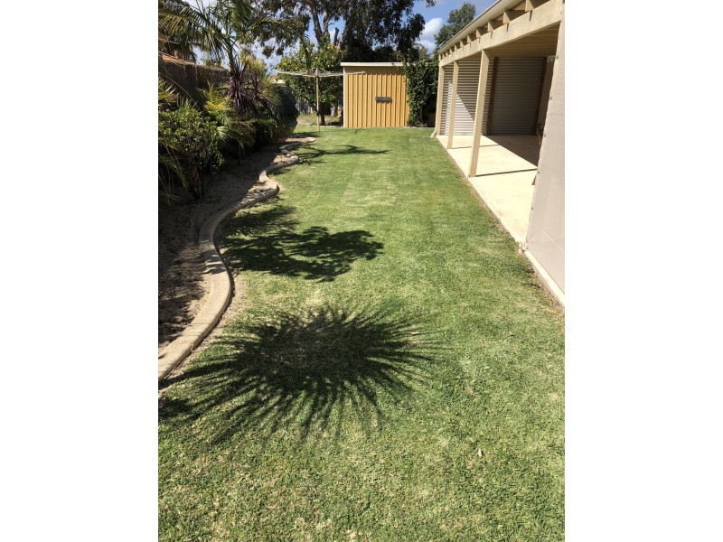 6 Nile Close, Halls Head WA 6210