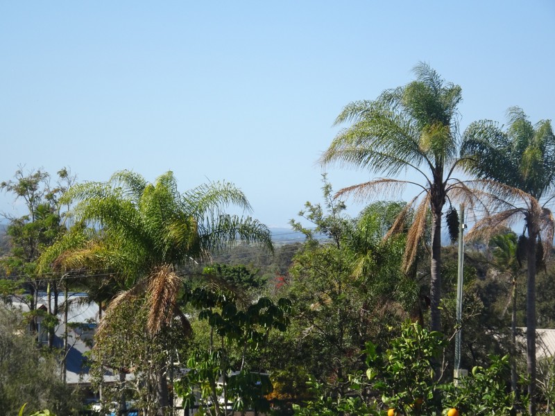 49 Mcivor Court, Ormeau QLD 4208