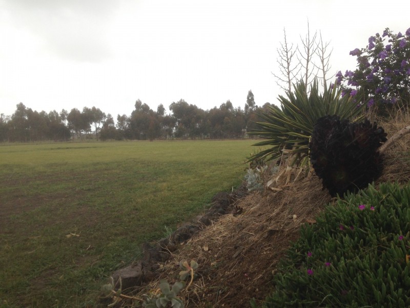 Lot Lot 2, 134 Lowndes Road, Bannockburn VIC 3331