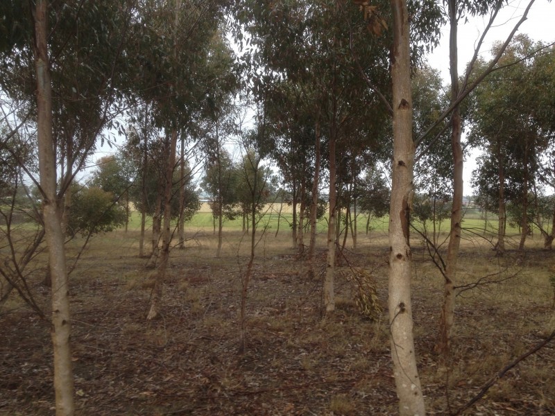 Lot Lot 2, 134 Lowndes Road, Bannockburn VIC 3331