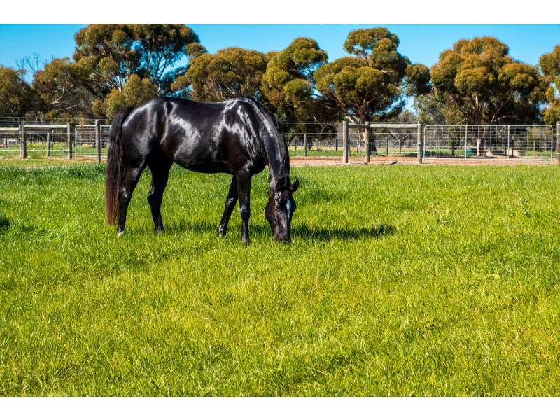 5499 Great Southern Hwy, York WA 6302