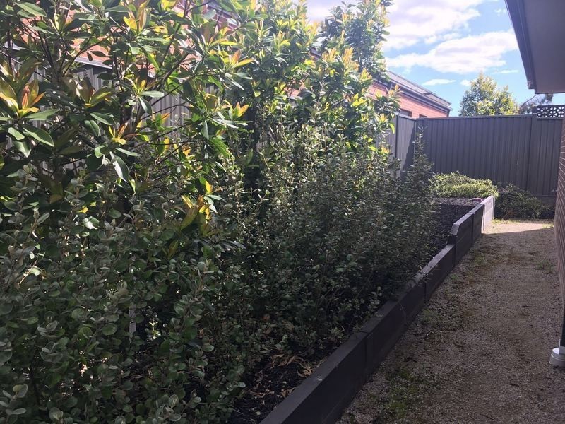 31 Bathgate Crescent, Cranbourne East VIC 3977