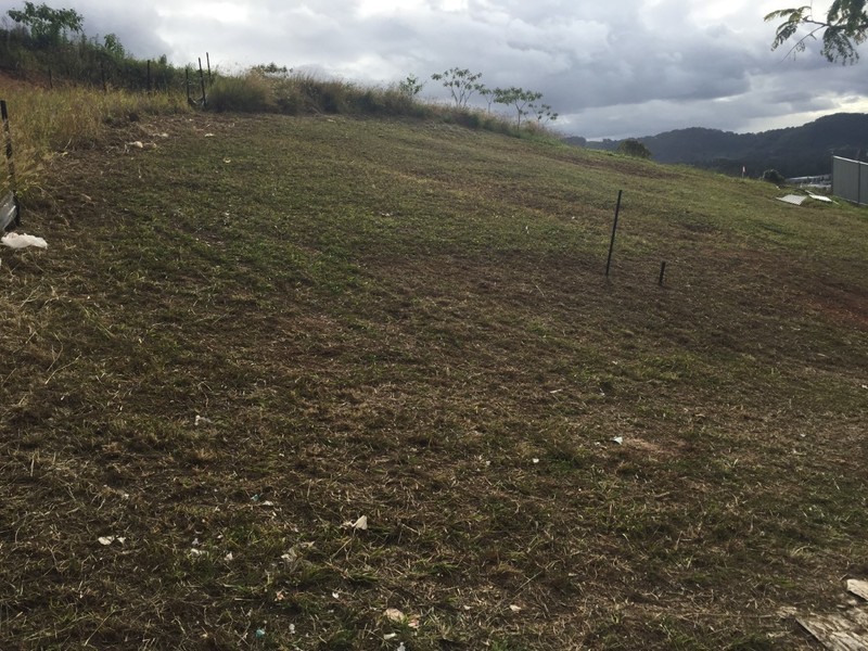 16 Royal Poinciana Way, Coffs Harbour NSW 2450