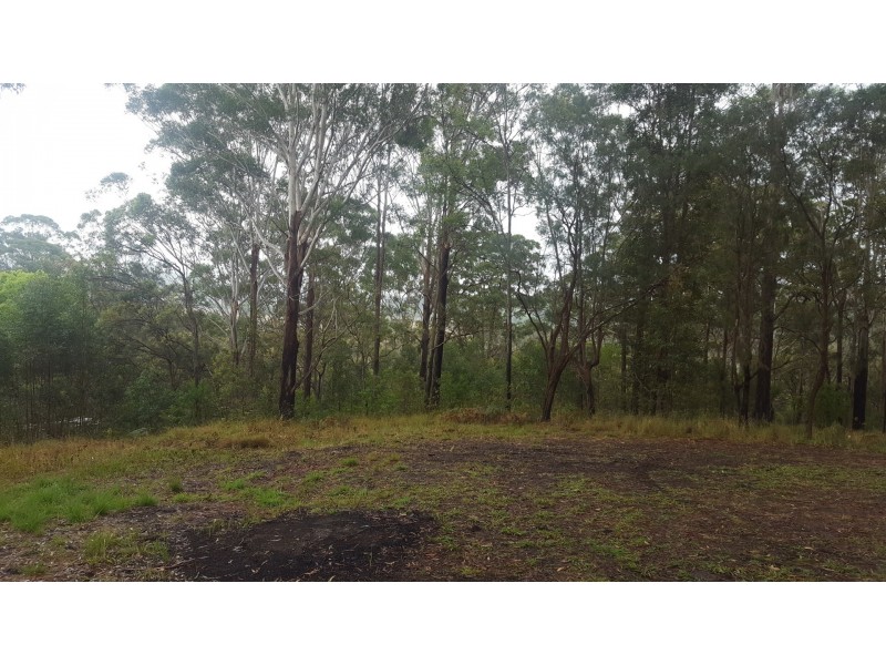 12 North Hill Court, Tanglewood NSW 2488