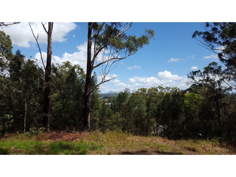 12 North Hill Court, Tanglewood NSW 2488