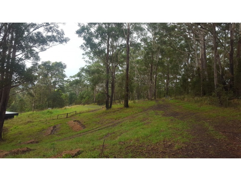 12 North Hill Court, Tanglewood NSW 2488