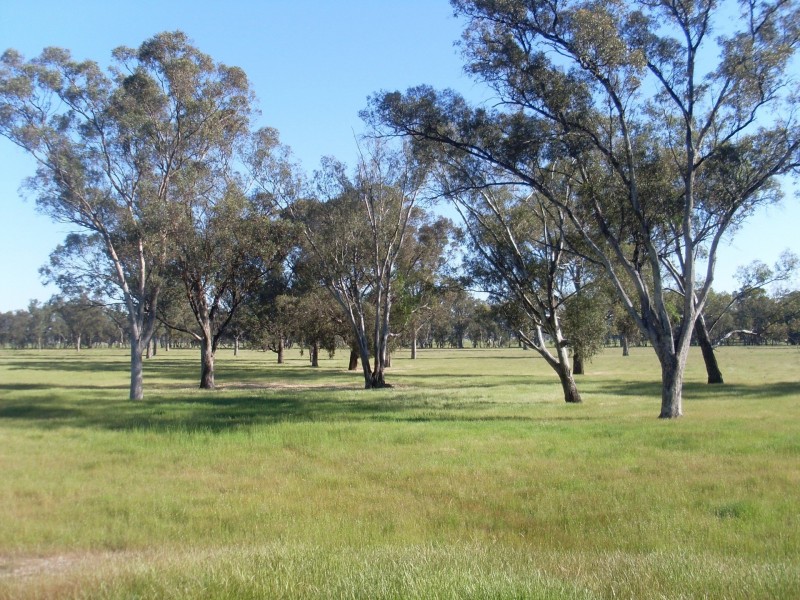 Allotment 51B Pagets Road, Baddaginnie VIC 3670