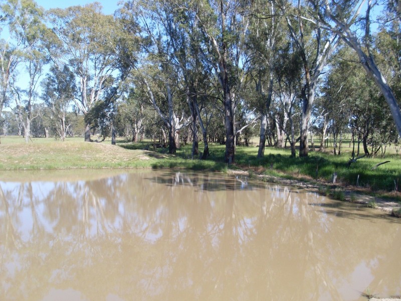 Allotment 51B Pagets Road, Baddaginnie VIC 3670