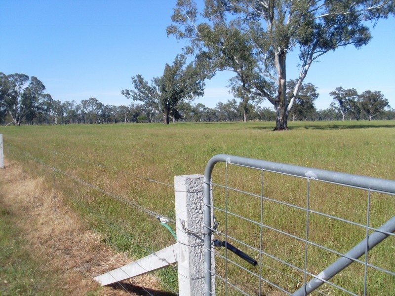 Allotment 51B Pagets Road, Baddaginnie VIC 3670