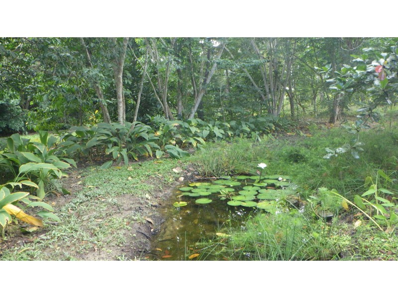 2244 Kennedy Highway, Koah QLD 4881