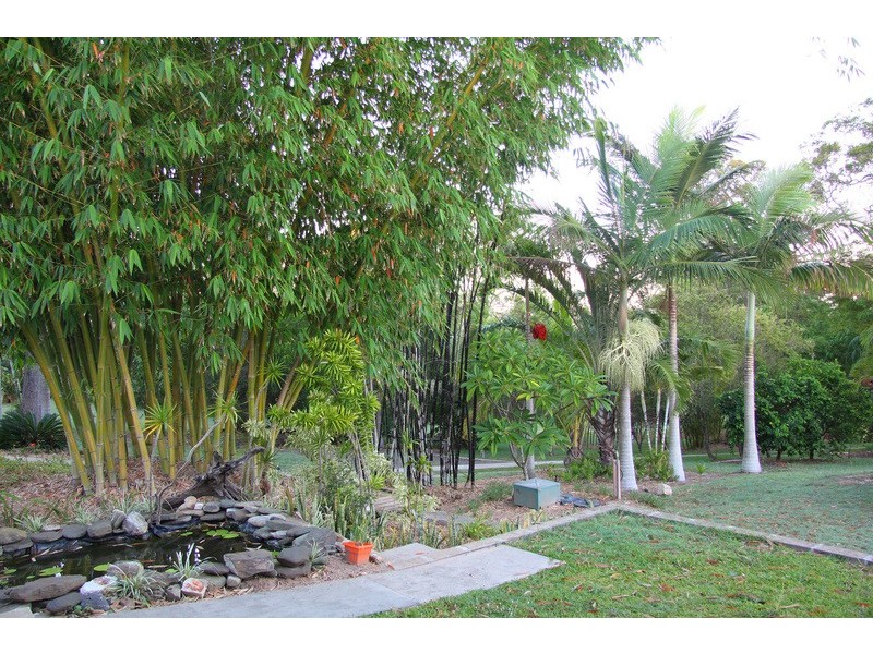 3 Louise Court, Branyan QLD 4670