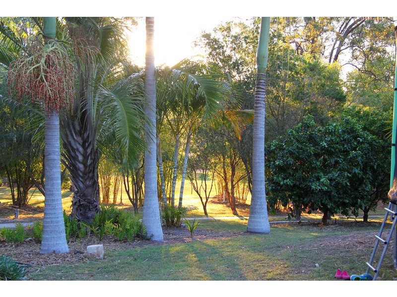 3 Louise Court, Branyan QLD 4670