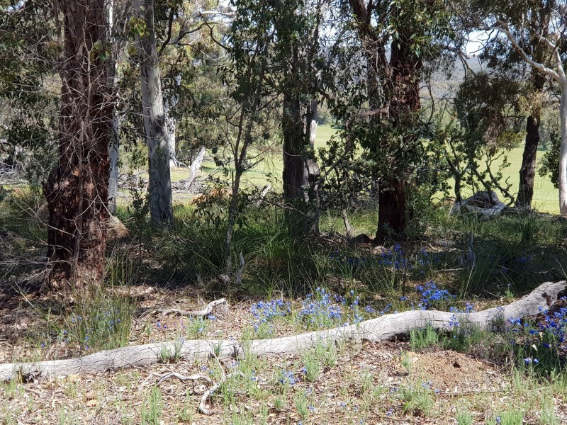 Lot 201/165 Decastilla Road, Clackline WA 6564