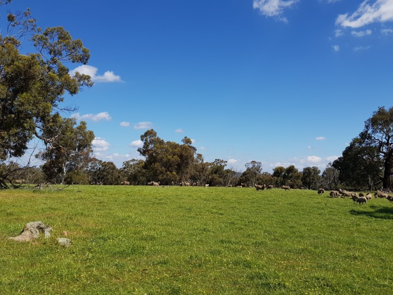 Lot 202/165 Decastilla Road, Clackline WA 6564