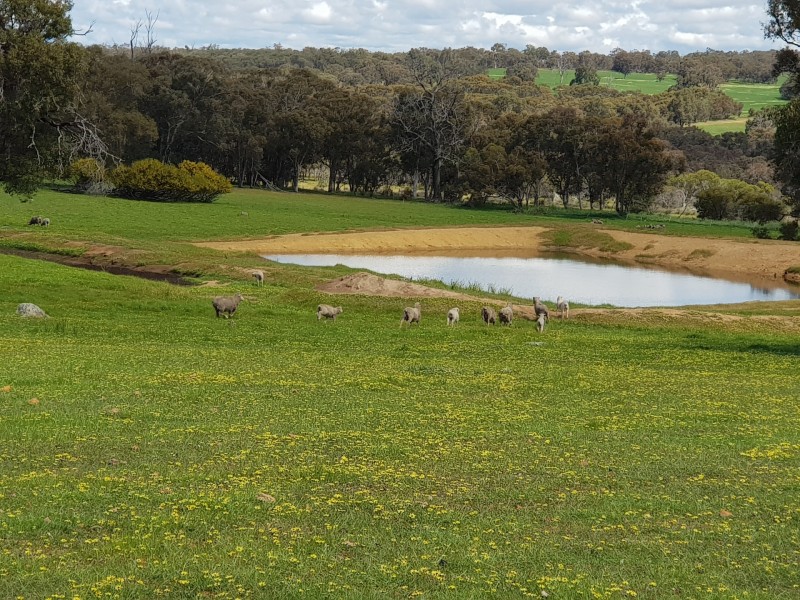 Lot 202/165 Decastilla Road, Clackline WA 6564