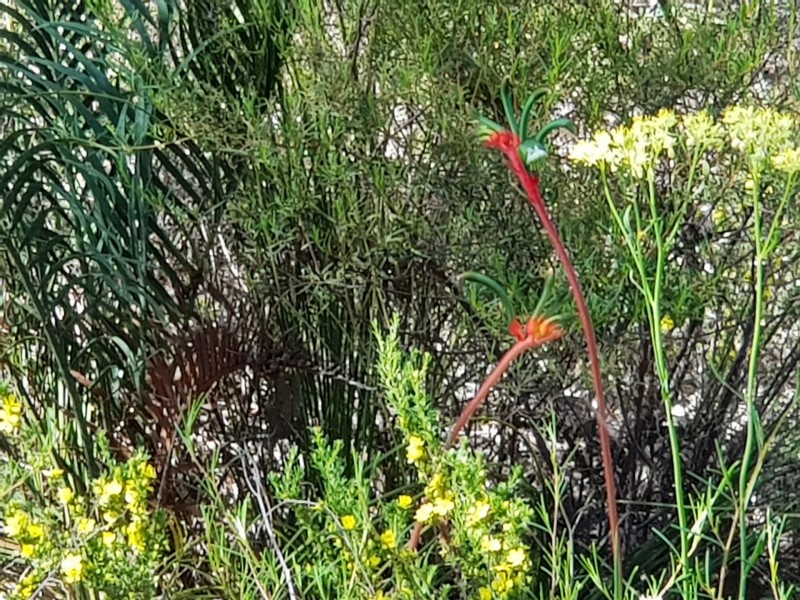 Lot 202/165 Decastilla Road, Clackline WA 6564