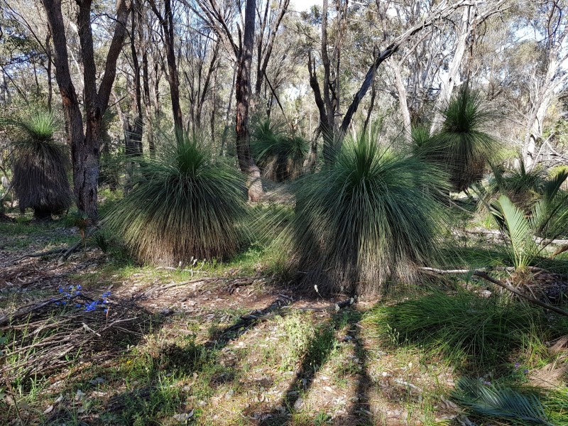 Lot 202/165 Decastilla Road, Clackline WA 6564