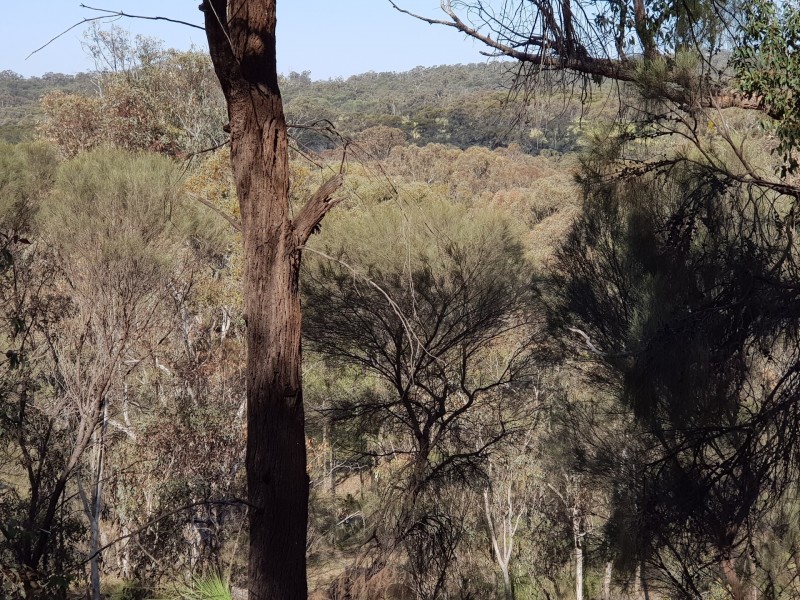 Lot 202/165 Decastilla Road, Clackline WA 6564