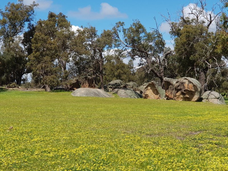 Lot 203/165 Decastilla Road, Clackline WA 6564