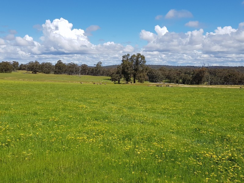 Lot 203/165 Decastilla Road, Clackline WA 6564