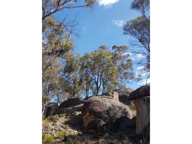 Lot 203/165 Decastilla Road, Clackline WA 6564