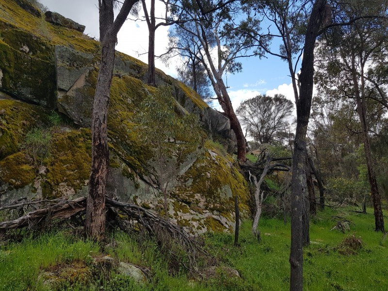 Lot 203/165 Decastilla Road, Clackline WA 6564