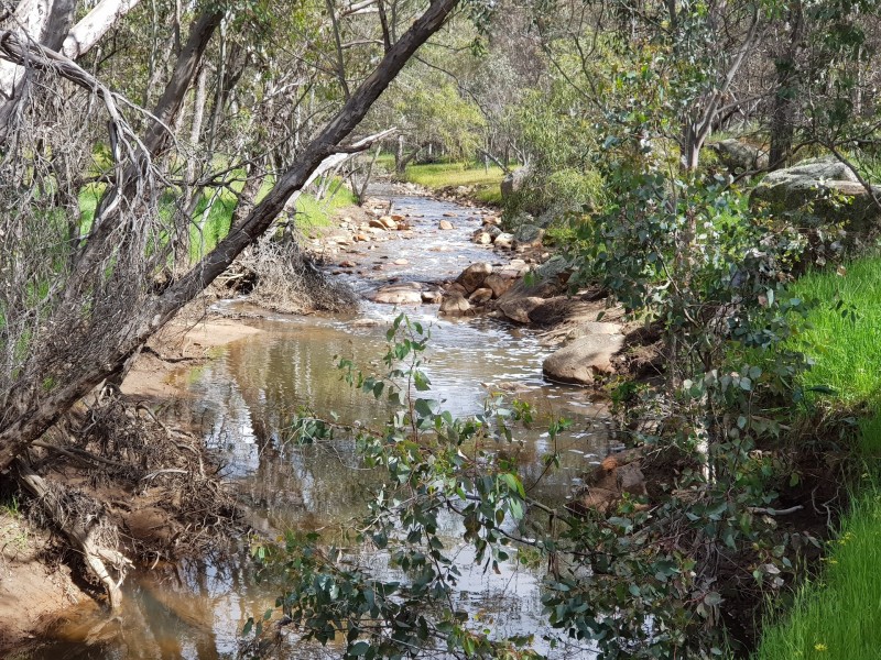 Lot 203/165 Decastilla Road, Clackline WA 6564