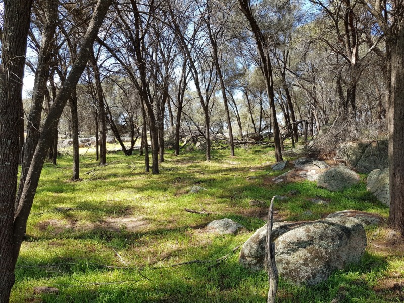 Lot 203/165 Decastilla Road, Clackline WA 6564