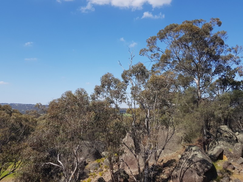 Lot 203/165 Decastilla Road, Clackline WA 6564