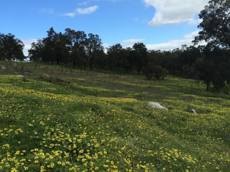 Lot 725 Selkirk Road, Serpentine WA 6125