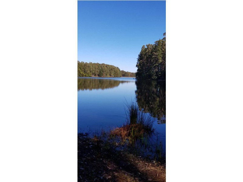 153 Karri Lane, Quinninup WA 6258