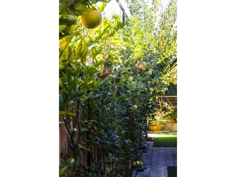 35 Hinkler Loop, Maylands WA 6051