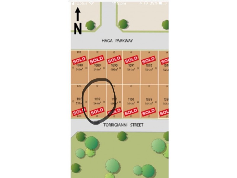 31 Torrigiani Street, Landsdale WA 6065