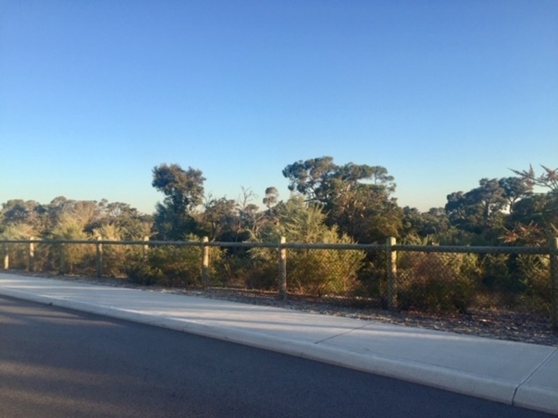 31 Torrigiani Street, Landsdale WA 6065