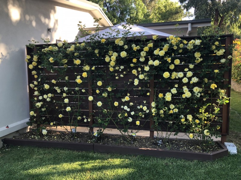 12 O’Connor Road, Armidale NSW 2350