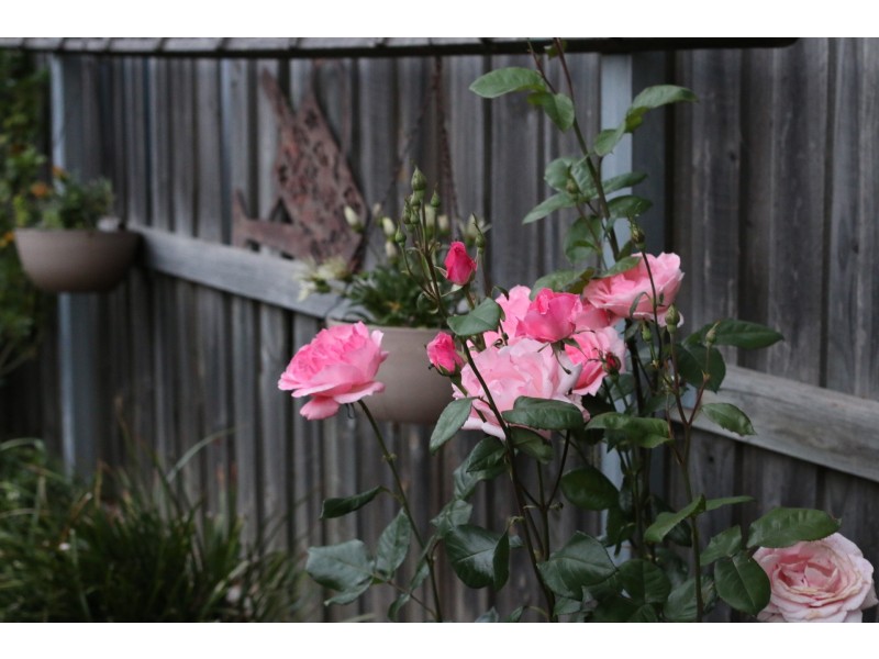 12 O’Connor Road, Armidale NSW 2350