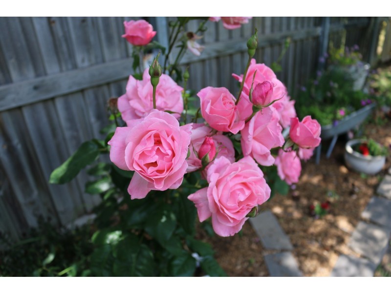 12 O’Connor Road, Armidale NSW 2350