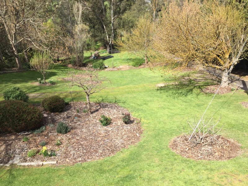 257 Daveys Road, Willow Grove VIC 3825