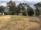 12 William Street, Axedale VIC 3551